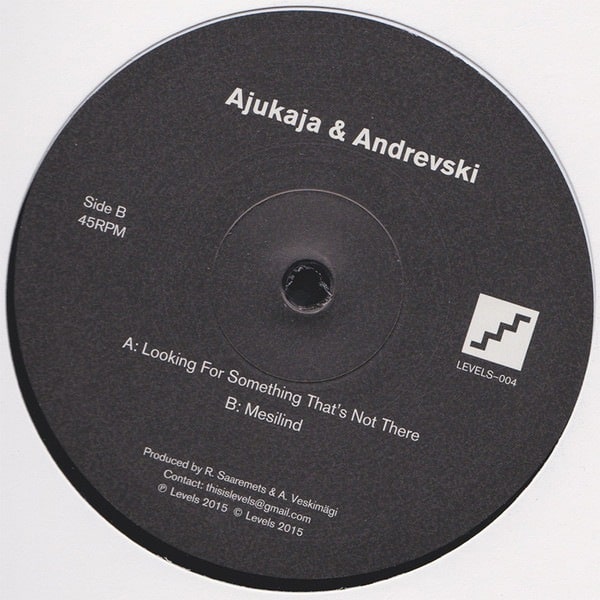 Ajukaja & Andrevski - Looking For Something That’s Not There / Mesilind - LEVELS004 - LEVELS