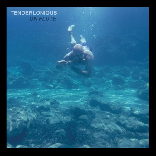 Tenderlonious - On Flute - 22A012 - 22A