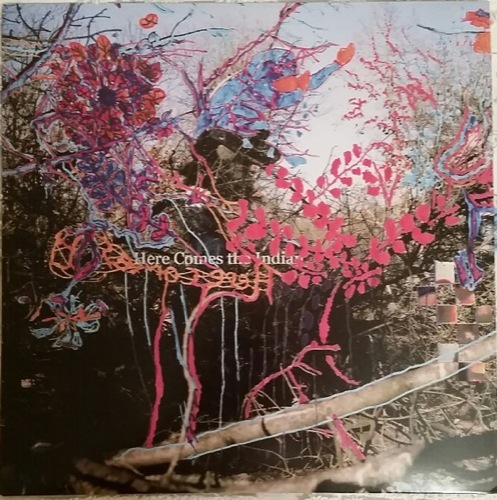 Animal Collective - Here Comes The Indian‘ - MY ANIMAL HOME - 0855230006168