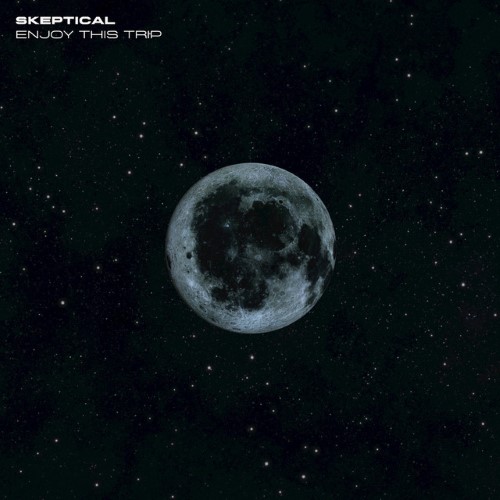 Skeptical - Enjoy This Trip - EXITLP018 - EXIT RECORDS