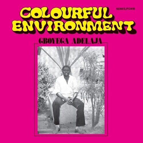 Gboyega Adelaja - Colourful Environment - LIVST006 - LIVINGSTONE STUDIO