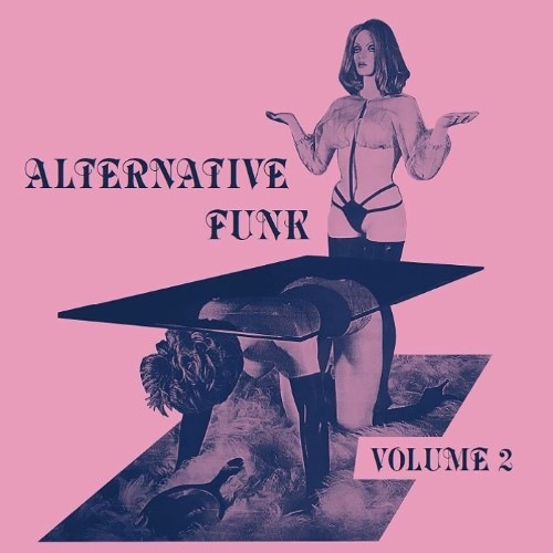 Various - Alternative Funk 2 - PLA024 - PLATFORM 23