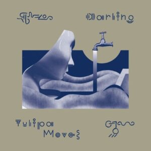 Darling - Tulipa Moves - ST012-LP - SAFE TRIP
