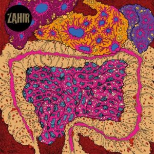 Zahir - What Noise? - ZAH001LP - ZAHIR