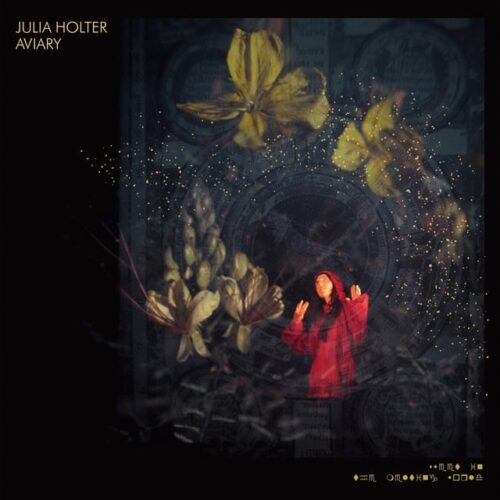 Julia Holter - Aviary (Clear vinyl) - WIGLP417X - DOMINO