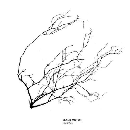 Black Motor - Branches - WJCD05 - WE JAZZ