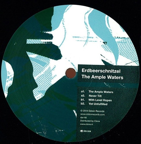 Erdbeerschnitzel - The Ample Waters - dsr-h8 - DELSIN