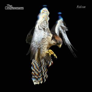The Courteeners - Falcon - 0602577305740 - UNIVERSAL MUSIC