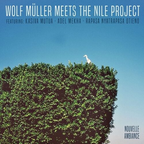 Wolf Müller - Meets The Nile Project - AMBIANCE003 - AMBIANCE