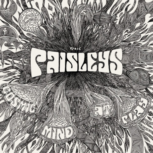 The Paisleys - Cosmic Mind At Play - SUNLP5109 - SUNDAZED MUSIC