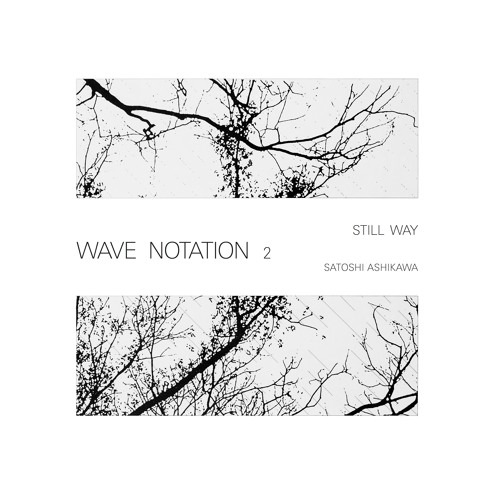 Satoshi Ashikawa - Still Way (Wave Notation 2) - WRWTFWW030 - WE RELEASE WHATEVER THE FUCK WE WANT