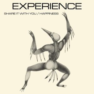 Experience - Share It With You / Happiness - TAC006 - THE ARTLESS CUCKOO