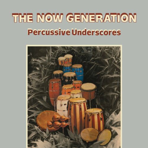 Peter Lüdemann / Pit Troja - The Now Generation (Percussive Underscores) - BEWITH075LP - BE WITH RECORDS