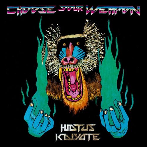 Hiatus Kaiyote - Choose Your Weapon - MOVLP1422 - MUSIC ON VINYL