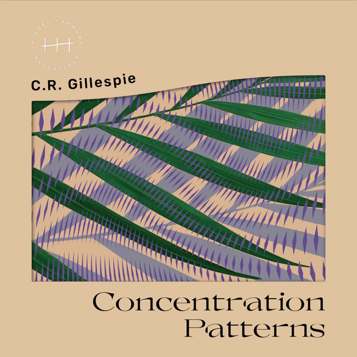 C.R.Gillespie - Concentration Patterns - HH01 - HIDDEN HARMONY RECORDINGS