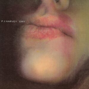 PJ Harvey - Dry (re-issue) - PURE10LP - TOO PURE