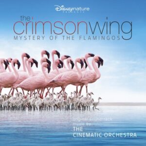 The Cinematic Orchestra - The Crimson Wing: Mystery of the Flamingos (Pink Vinyl) - 50087443269 - DISNEY