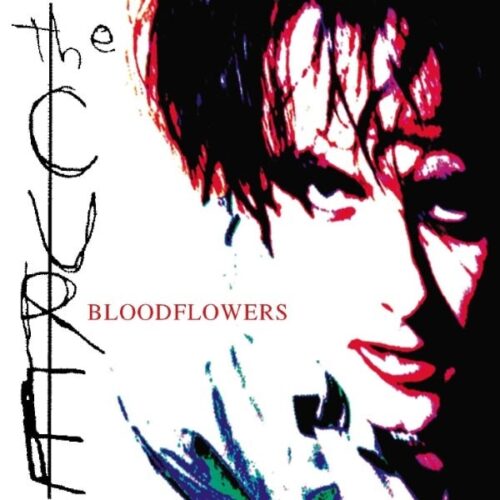 The Cure - Bloodflowers (Picture Disc) - 602508479724 - FICTION