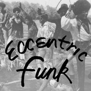 Various - Eccentric Funk (Indie Exclusive) - NUM501LP-C2 - NUMERO GROUP