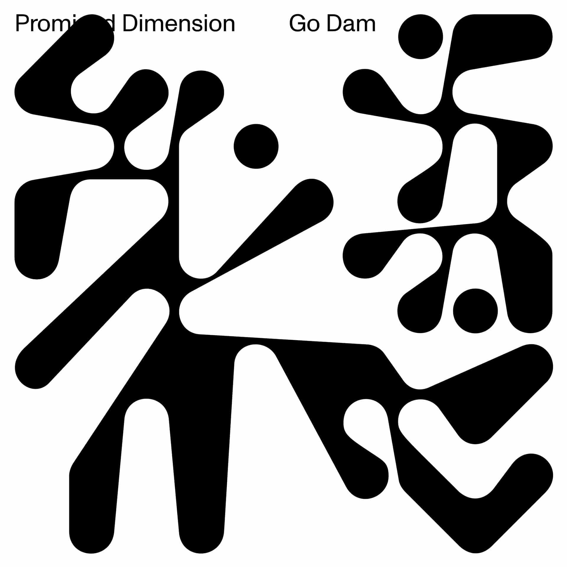 Go Dam - Promised Dimension - BD04 - BRAINDANCE RECORDS