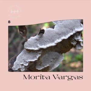 Morita Vargas - 8 - HH03 - HIDDEN HARMONY RECORDINGS