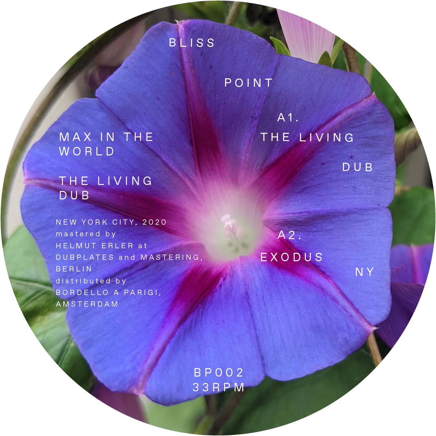 Max In The World - The Living Dub EP - BP02 - BLISS POINT