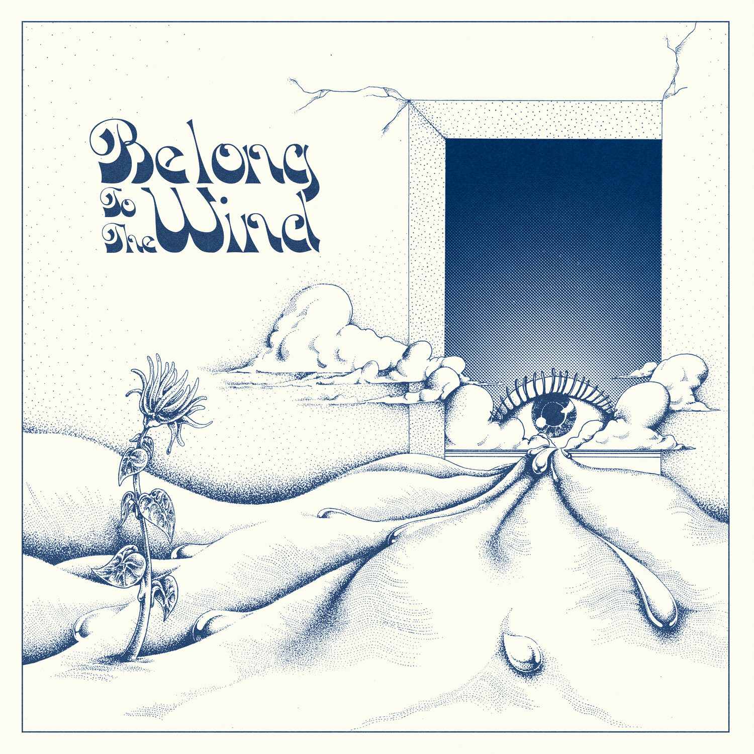 Various - Belong To the Wind - FORLP001 - FORAGER RECORDS