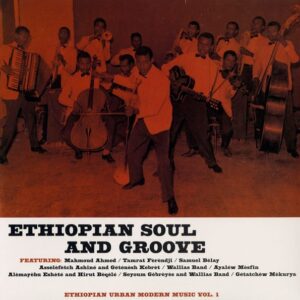 Various - Ethiopian Soul And Groove - Ethiopian Urban Modern Music Vol. 1 - HS094VL - HEAVENLY SWEETNESS