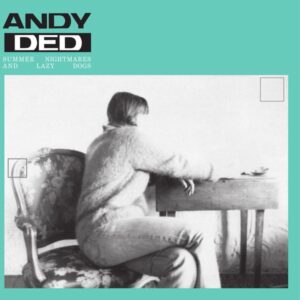 Andy Ded - Summer Nightmares And Lazy Dogs (Tolouse Low Trax Rework) - CAM021 - CAMISOLE