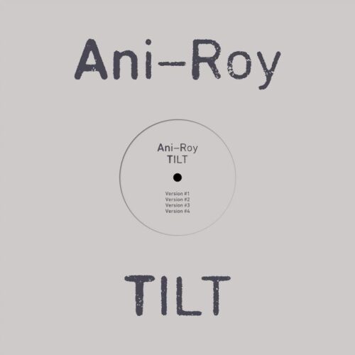 Ani Roy - Tilt - PLA041 - PLATFORM 23