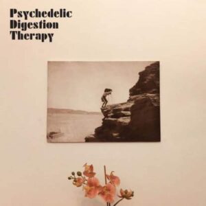 Psychedelic Digestion Therapy - Psychedelic Digestion Therapy - SL109LP - STRANGELOVE