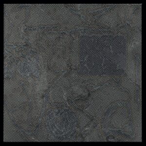 SW - Mydefinition - OYSTER30 - KALAHARI OYSTER CULT
