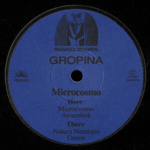 Gropina - Microcosmo - PSGG003 - PAESAGGI RECORDS