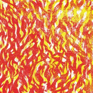 The Bug - Fire (LTD Yellow & Red ) - ZEN275N - NINJA TUNE