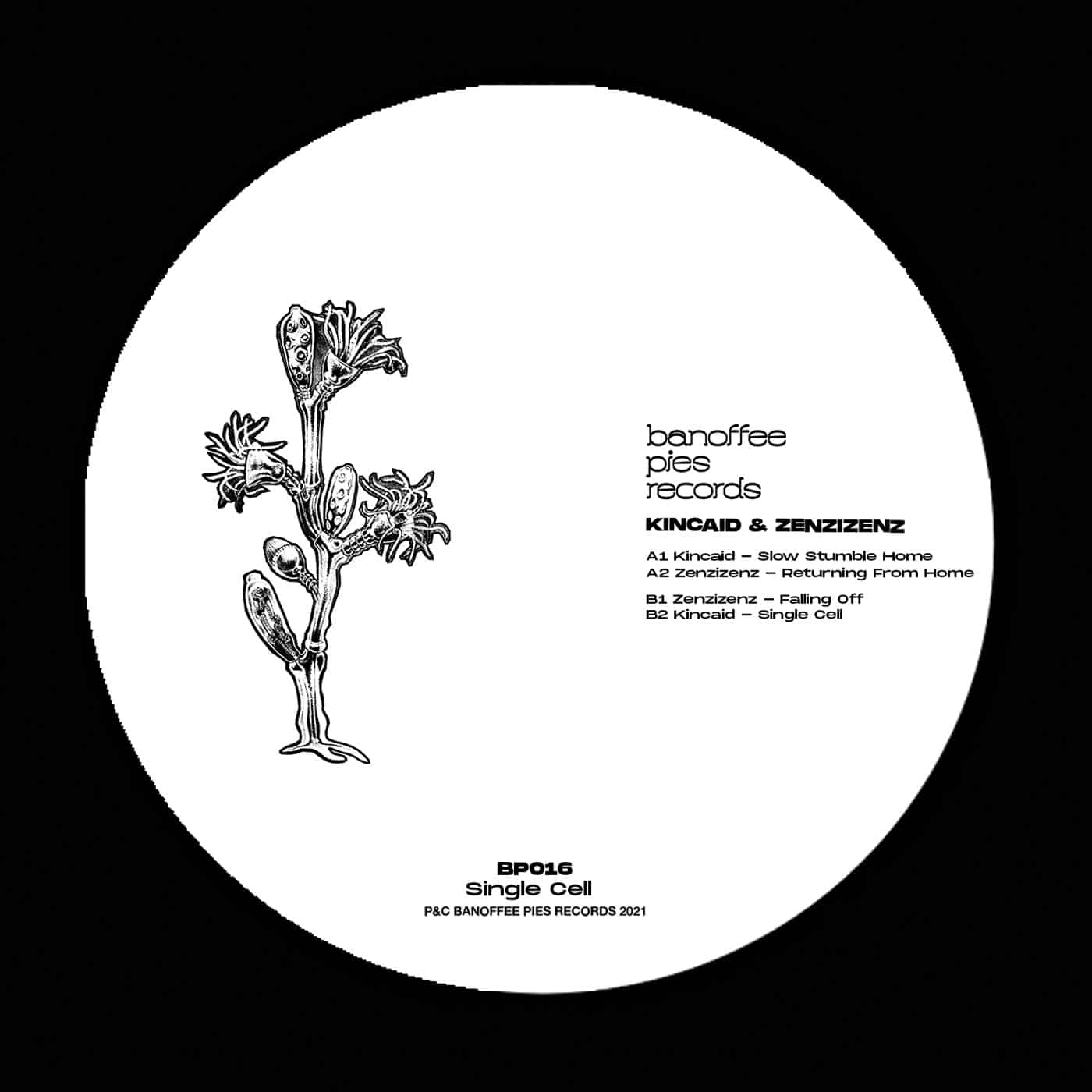 Various Artists - Single Cell - BP016 - BANOFFEE PIES