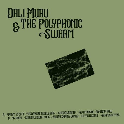 Dali Muru/The Polyphonic Swarm - Dali Muru & The Polyphonic Swarm - STRLP-053 - STROOM