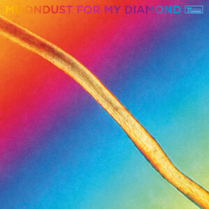 Hayden Thorpe - Moondust For My Diamond - WIGLP482 - DOMINO