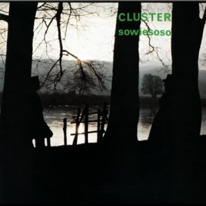 Cluster - Sowieso - BB039 - BUREAU B