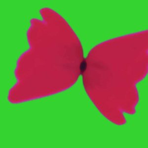 IVVVO - Bleached Butterfly - WHYT051 - AD 93