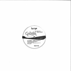Roy Davis Jnr - Gabriel (White Repress) - LARV019WHITE - LARGE RECORDS