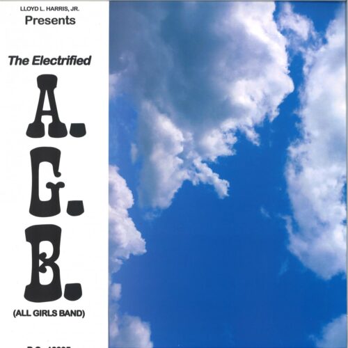 Electrified A.G.B. - Fly Away EP - DC10005 - DOME CITY
