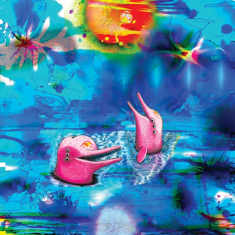 Anteloper - Pink Dolphins - IARC0056LP - INTERNATIONAL ANTHEM