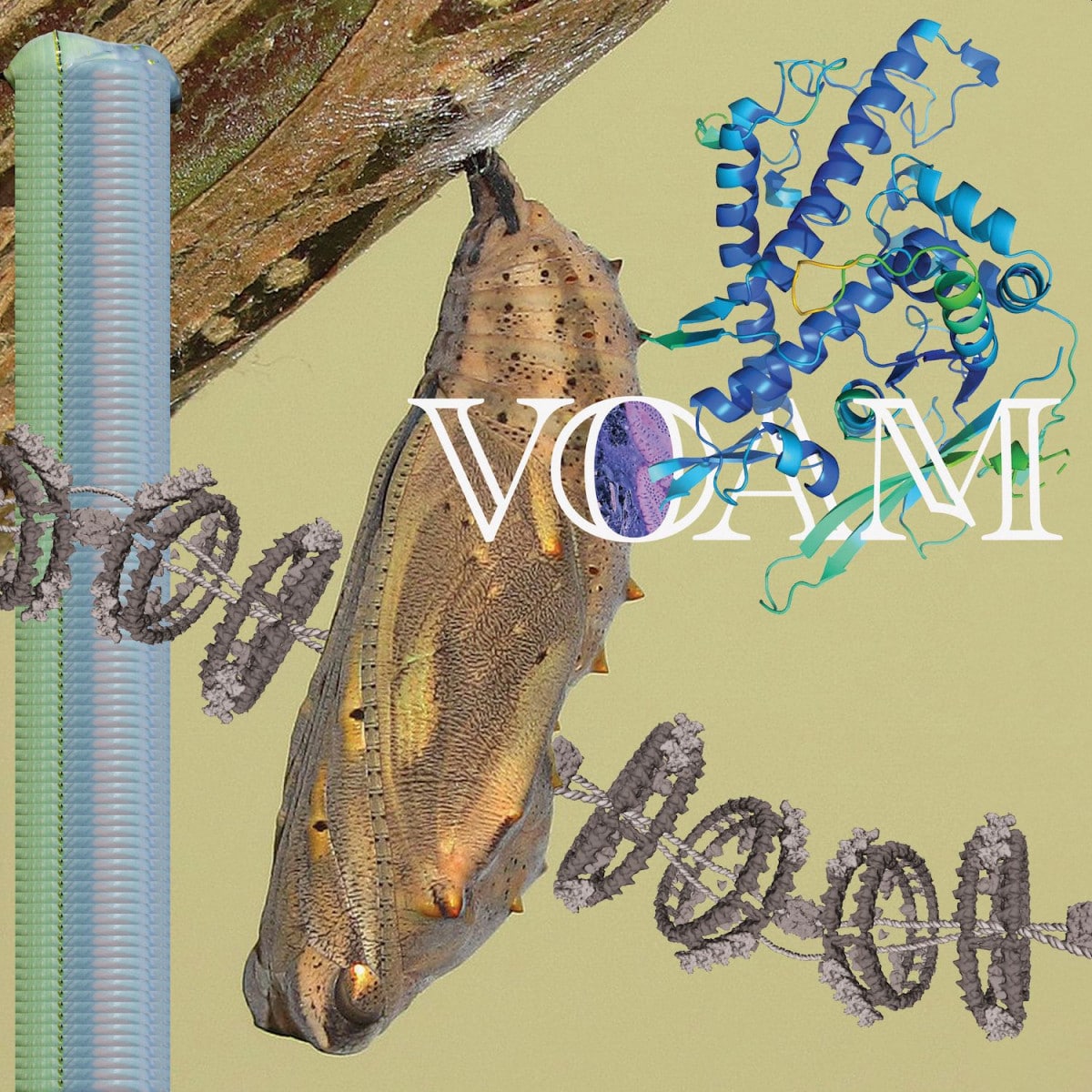 Pariah - Caterpillar - VOAM009 - VOAM