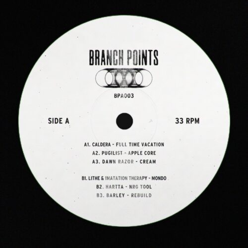 Various - VA 1 - Branch Points - BPA003 - BRANCH POINTS