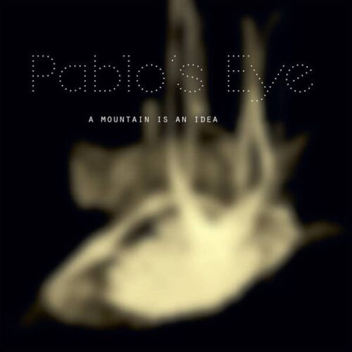 Pablo's Eye - A Mountain Is An Idea - TFM004 - THE FLORIST'S MUM