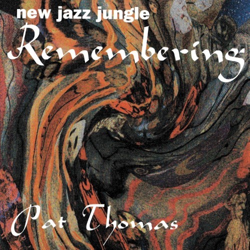 Pat Thomas - New Jazz Jungle: Remembering - FM3 - FEEDBACK MOVES