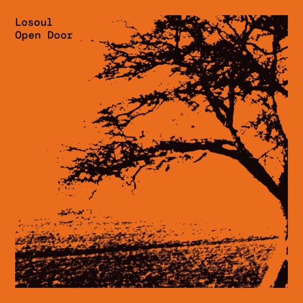 Losoul - Open Door (Theo Parrish
