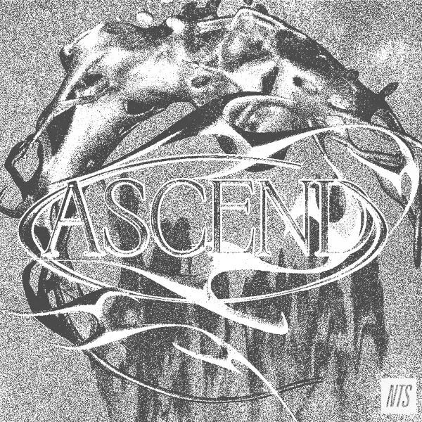 Various - Ascend - NTSC3V - NTS