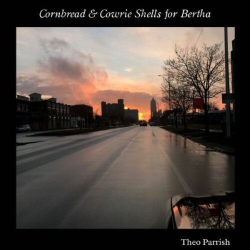 Theo Parrish - Cornbread & Cowrie Shells for Bertha - SS093-094 - SOUND SIGNATURE