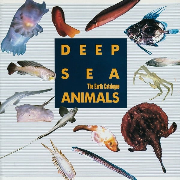 Various - Deep Sea Animals - PCD07 - PACIFIC CITY SOUND VISIONS